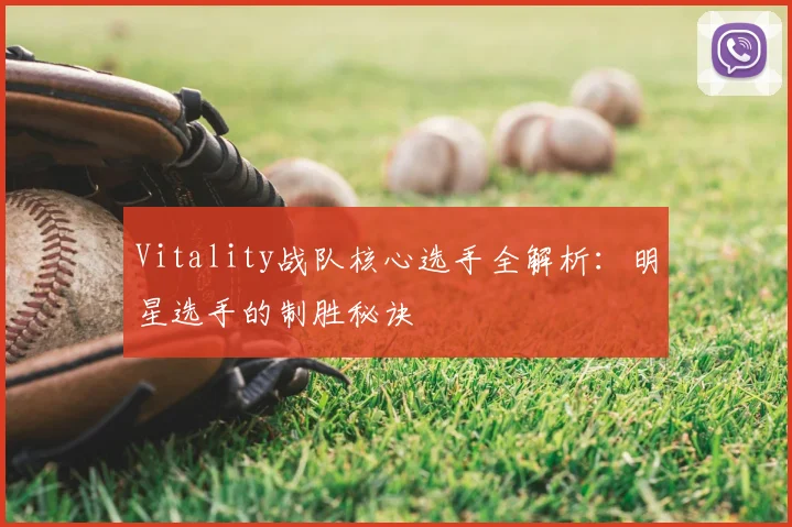 Vitality战队核心选手全解析：明星选手的制胜秘诀