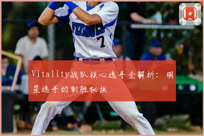 Vitality战队核心选手全解析：明星选手的制胜秘诀