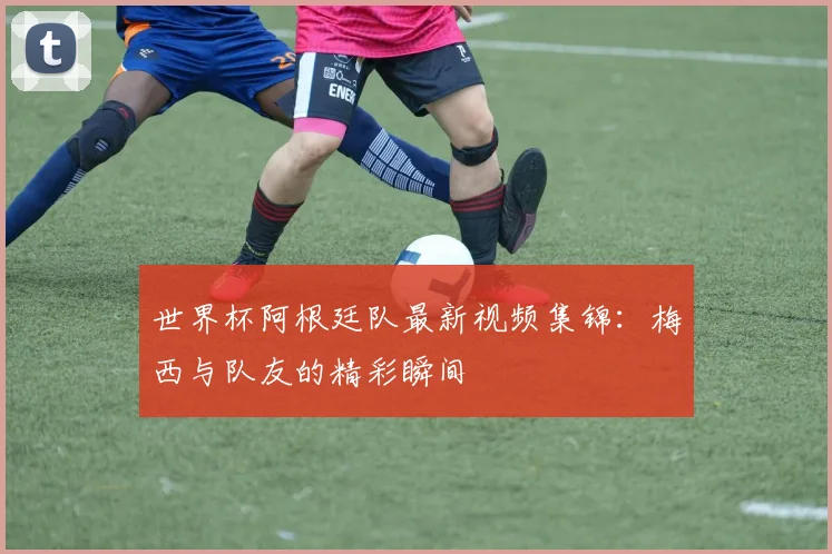 世界杯阿根廷队最新视频集锦：梅西与队友的精彩瞬间
